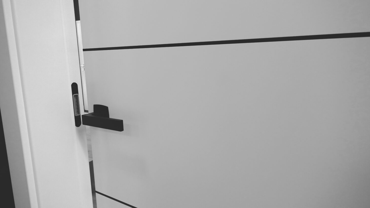 Moderne Innentür in Weiß mit klarer Linienführung – Designlösungen für den Innenbereich von Holz Hertel