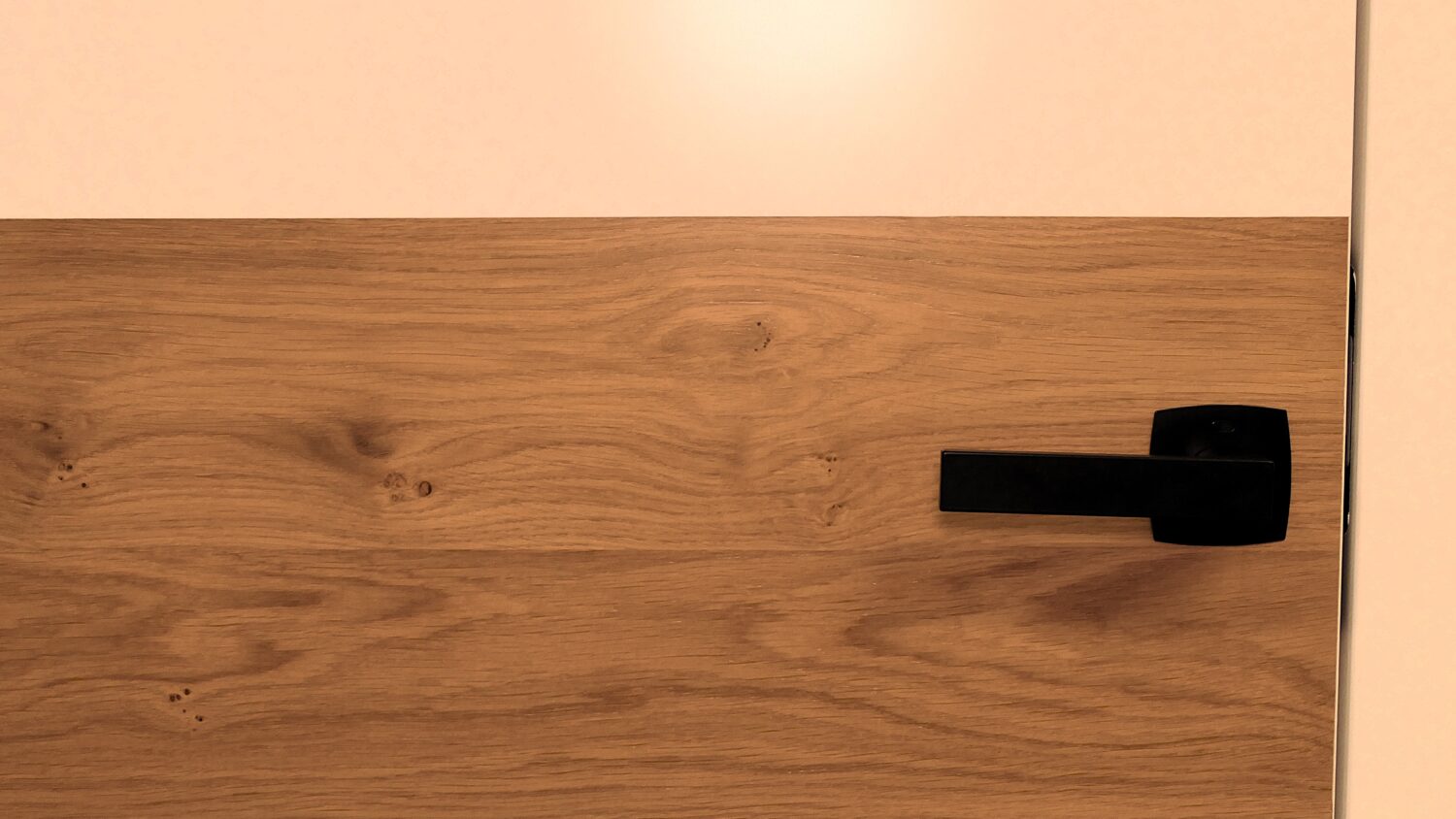 Moderne weiße Innentür mit horizontalem Holzelement und schwarzem Türgriff